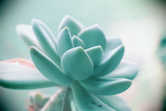 �k�����ϵġ����@��