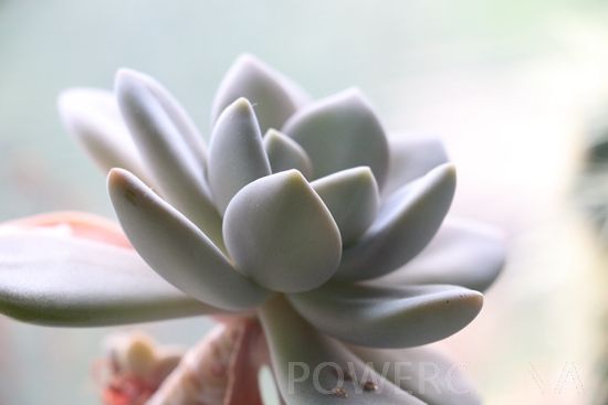 �k�����ϵġ����@��